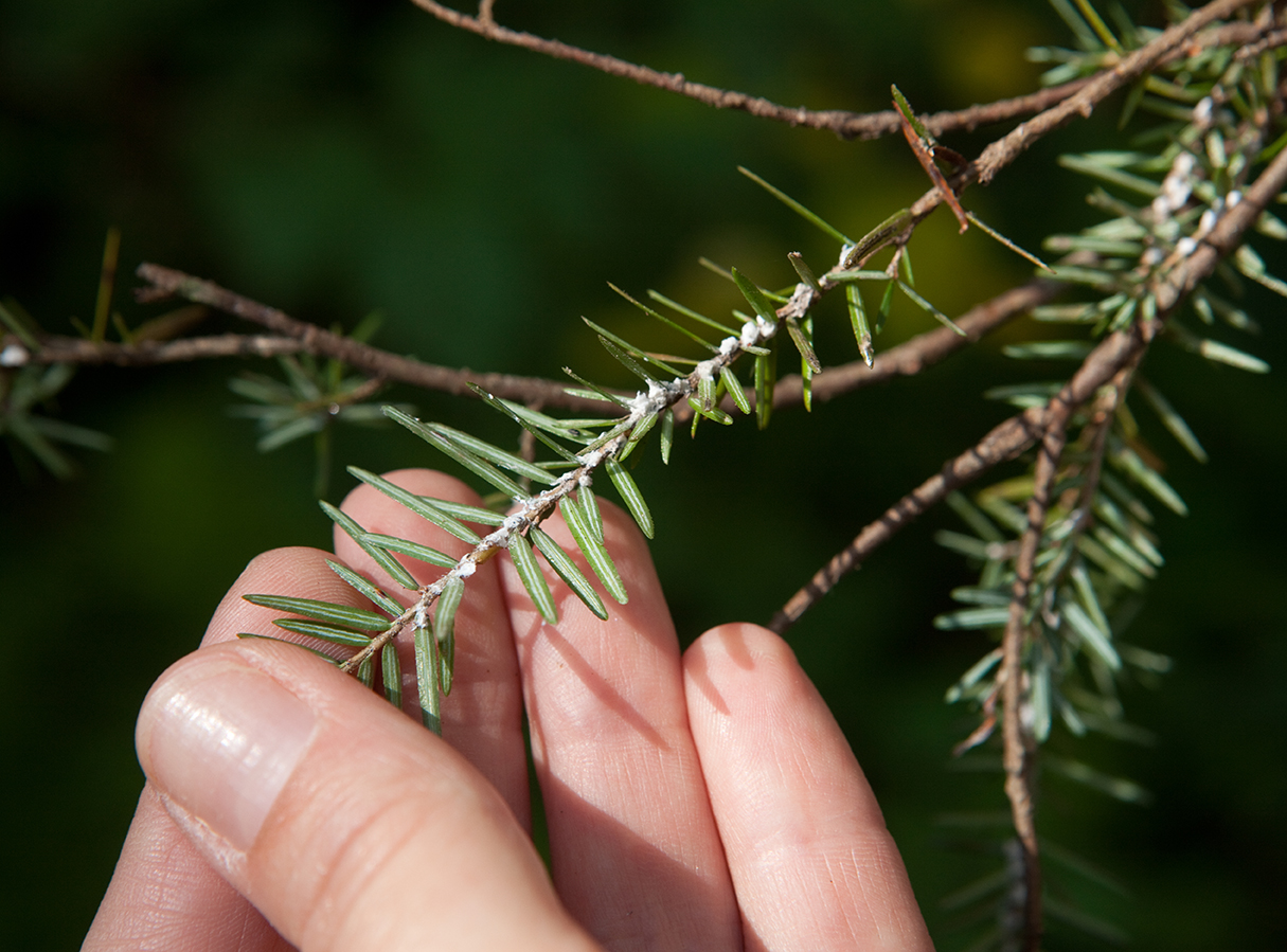 Taking Mother Nature’s Pulse